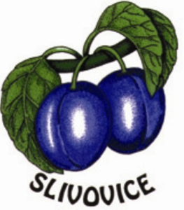 123-263x300.png